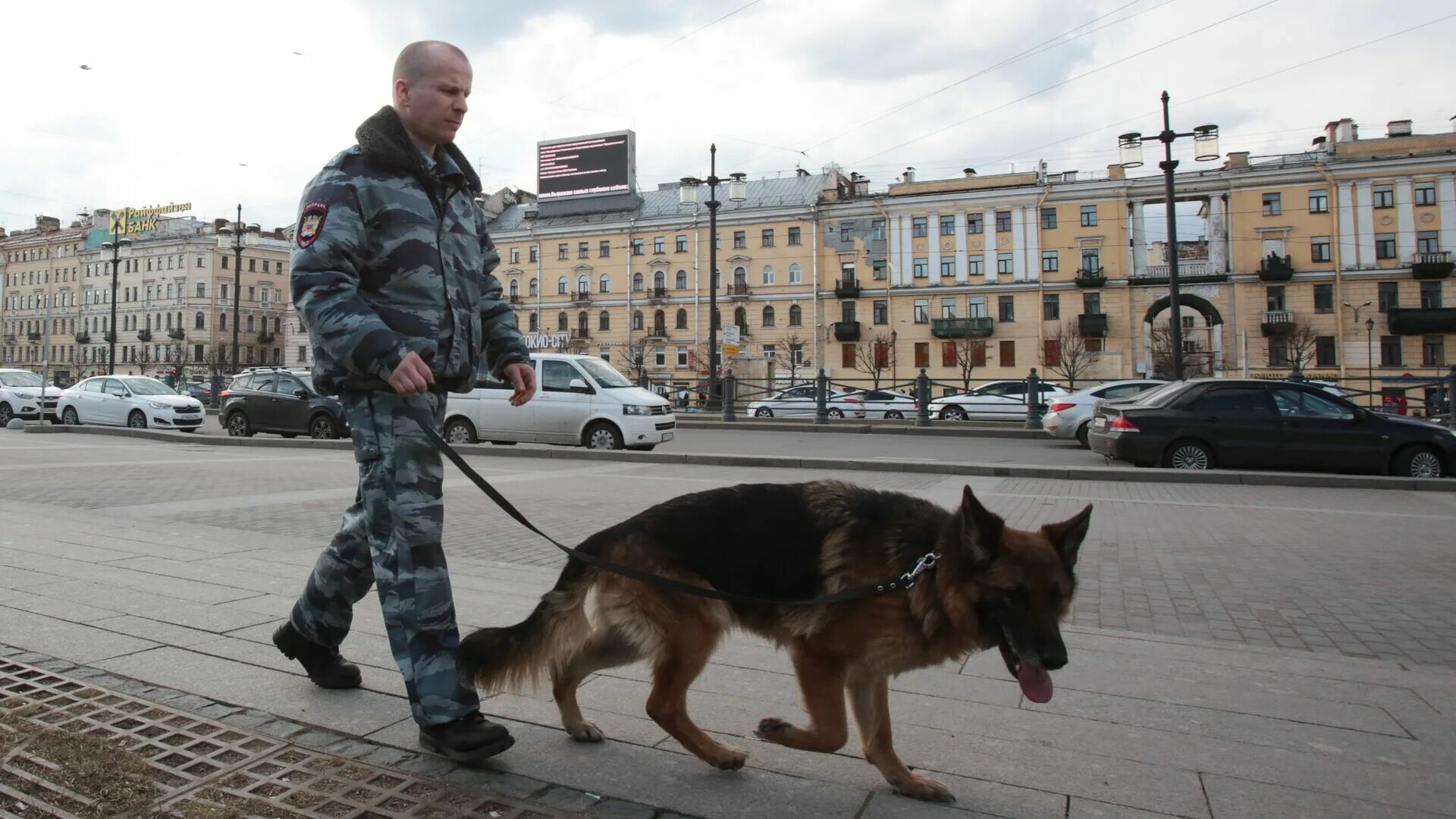 Усилена безопасность москвы. В Питере усилили меры безопасности. Мер Санкт-Петербург сейчас. Собака улица Санкт-Петербург.
