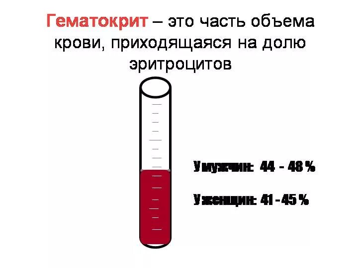 Гематокрит что показывает в крови женщины. Показатель гематокрита. Гематокрит 43.6. Гематокрит что это такое в крови. Гематокрит норма.