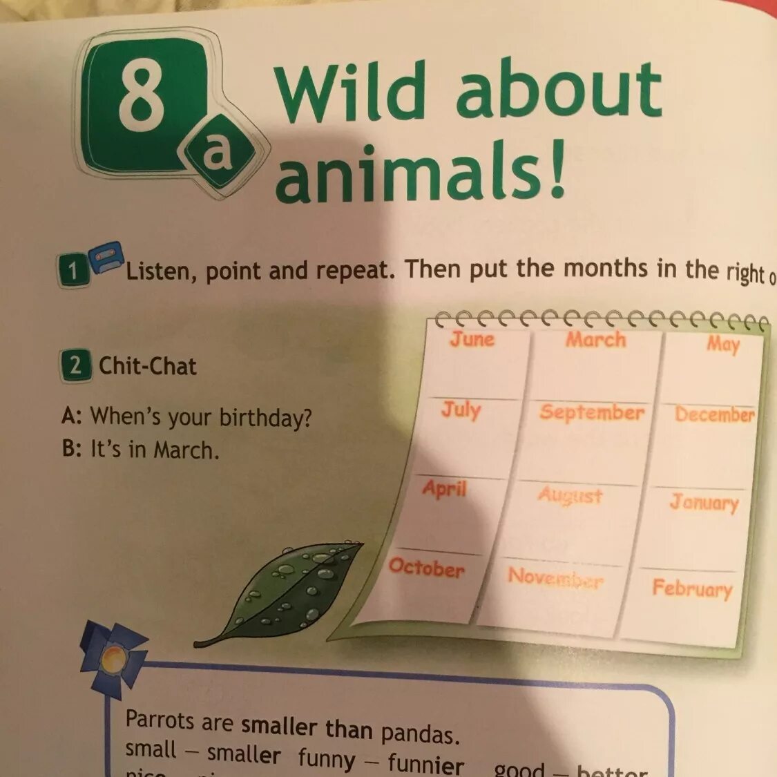 Parrots are smaller than pandas. Parrots are smaller than pandas