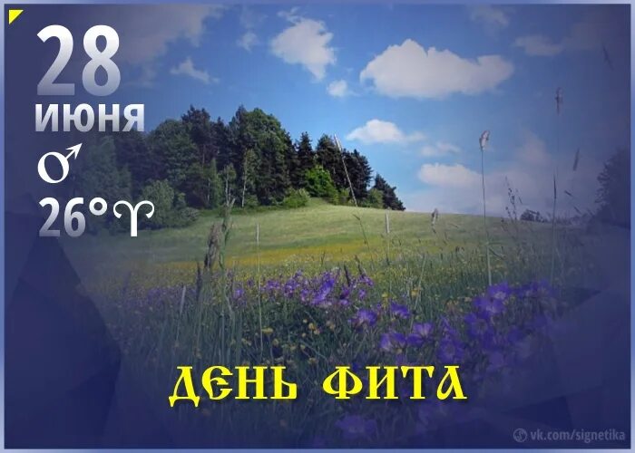 28 июнь 2013. День фита. Народный праздник день фита. 28 Июня праздник день фита. День фита и Амоса.