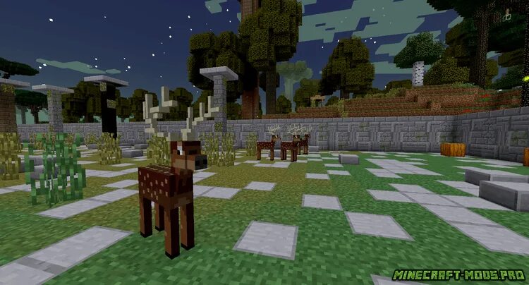 Twilight forest 1. 2 лаунчер. 12. 16. Сумеречный лес(twilight forest).