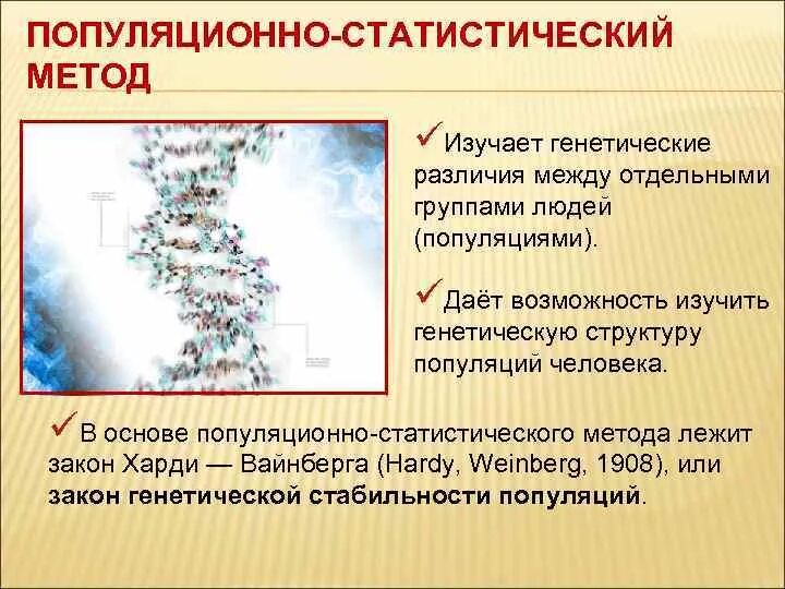 Популяционный метод наследственности человека. Популяционно-статистический метод. Предмет изучения популяционной генетики человека. Популяционно статистический метод изучения наследственности.