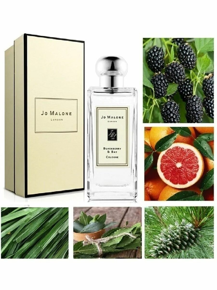 Духи джо малон ежевика. Blackberry & bay jo malone london. Jo malone blackberry bay cologne. Jo malone blackberry & bay 65 тестер. Jo malone blackberry & bay 100ml.