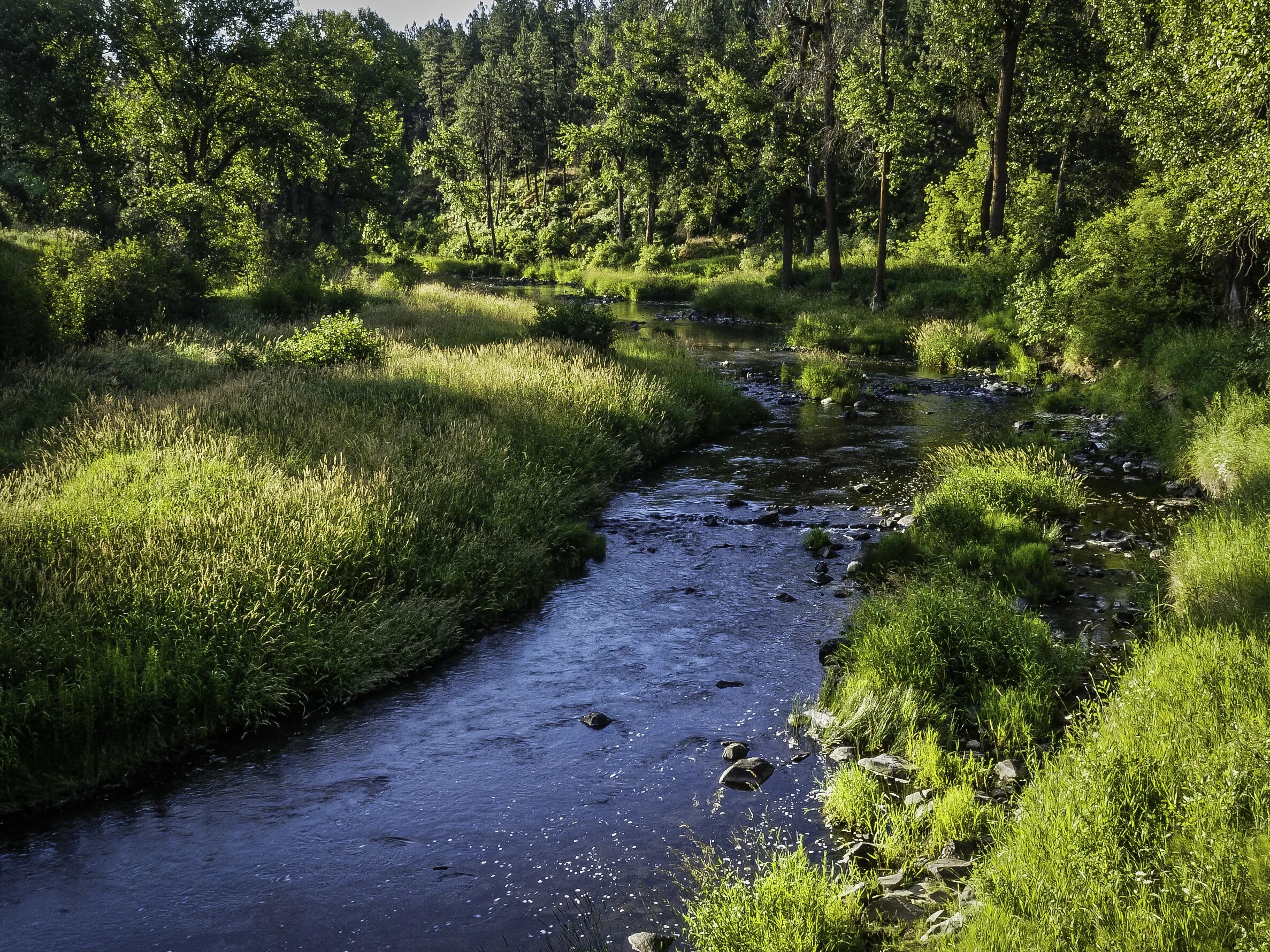 природа богатства брянского края. природный багодства брянской области. природные богатства брянской области. серьги кольца в уши широкие. мелко широкий.