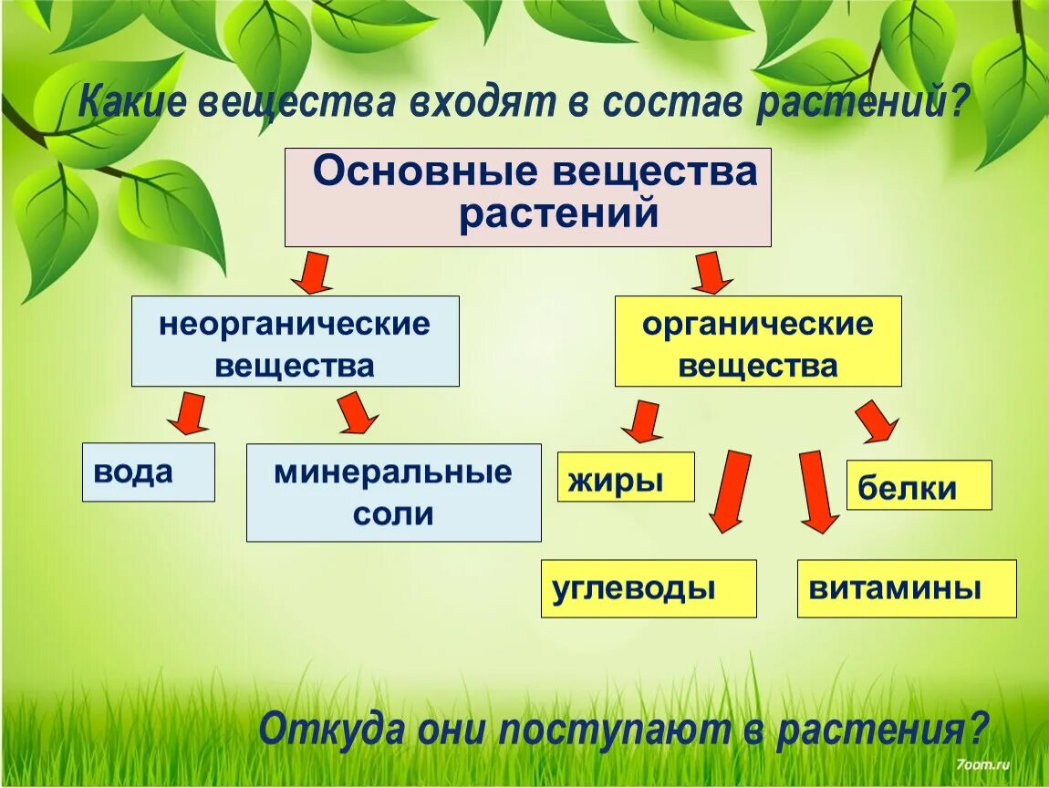 Соединение состава произошло. Органические вещества растений. Органические и неорганические вещества растений. Какие вещества входят в состав растений. Минеральные и органические вещества растений.