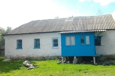 Авито волово
