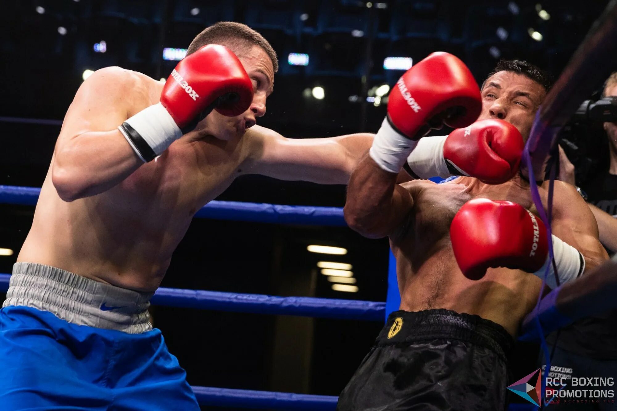 КИК боксинг промоушен. Профессиональный бокс RCC Boxing promotions. Boxing promotions