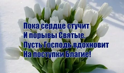 Добрый день благословенного дня картинки красивые весенние