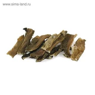 Лакомства для собак рубец