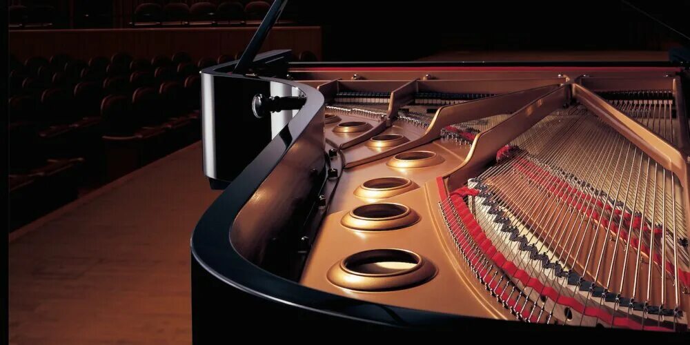 Струнные музыкальные инструменты арфа. Карнеги холл рояль. Театральные атрибуты. Органный концерт шедевры мирового органа в петрикирхе. Музыкальные инструменты на сцене.