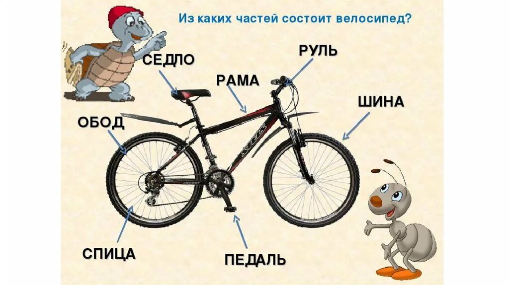 Из чево состоит велосипед. Велосипед с подписанными деталями. Части велосипеда для детей. Название частей велосипеда. Из каких частей состоит со