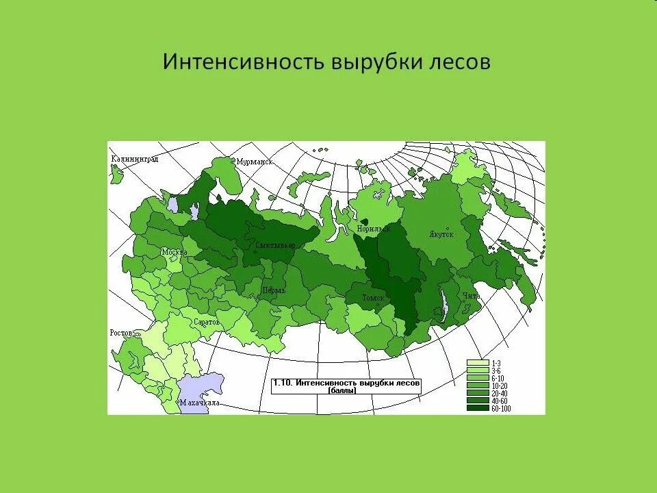 Регионы россии богатые лесными ресурсами. График вырубки лесов в России. Карта вырубки лесов в России. Вырубка леса в России статистика. Интенсивность вырубки лесов в России.