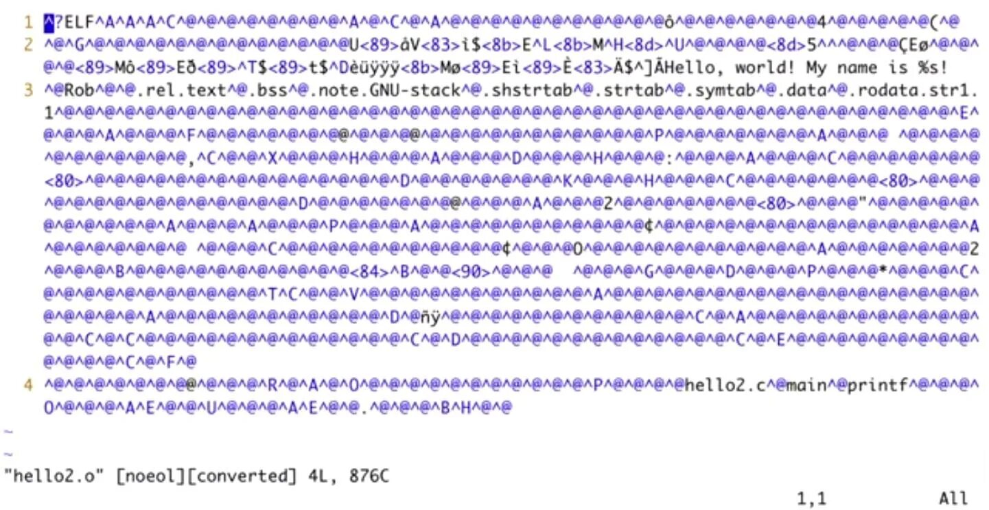 Машинные коды. Программа на машинном коде. Пример машинного кода. Как выглядит машинный код. Машинный код программы