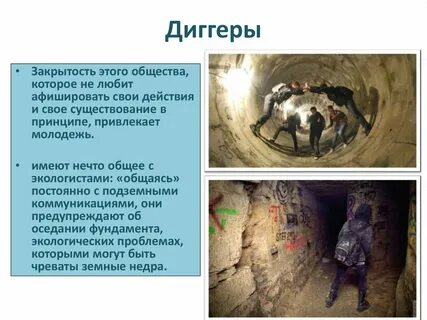 Диггеры это в истории 7 класс