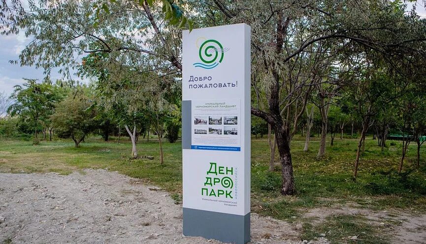 Новороссийский дендропарк. Камни из будущего. Дендрарий новороссийск. Дендрарий тирасполь. Дендропарк новороссийск фото.