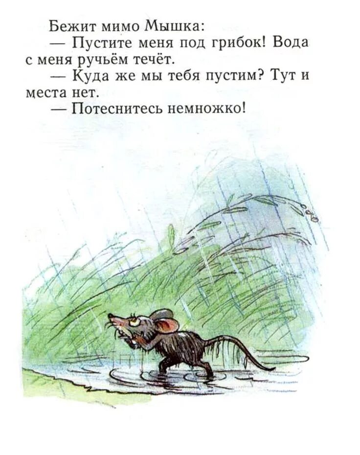 Под грибом читать с картинками. Рассказ под грибом. сутеев под грибом текст с картинками. сказка под грибом текст. сказка сутеева под грибом текст.
