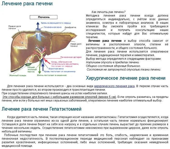 Терапия болезней печени. Увеличена печень причины и симптомы