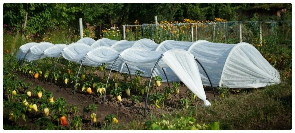 парник хозагроопт. парники из дуг с укрывным. парники из дуг с укрывным. парник "богатый урожай" 8м (дуги - 9шт, укрывной материал - 10м). пвх+гринтекс60, торна.