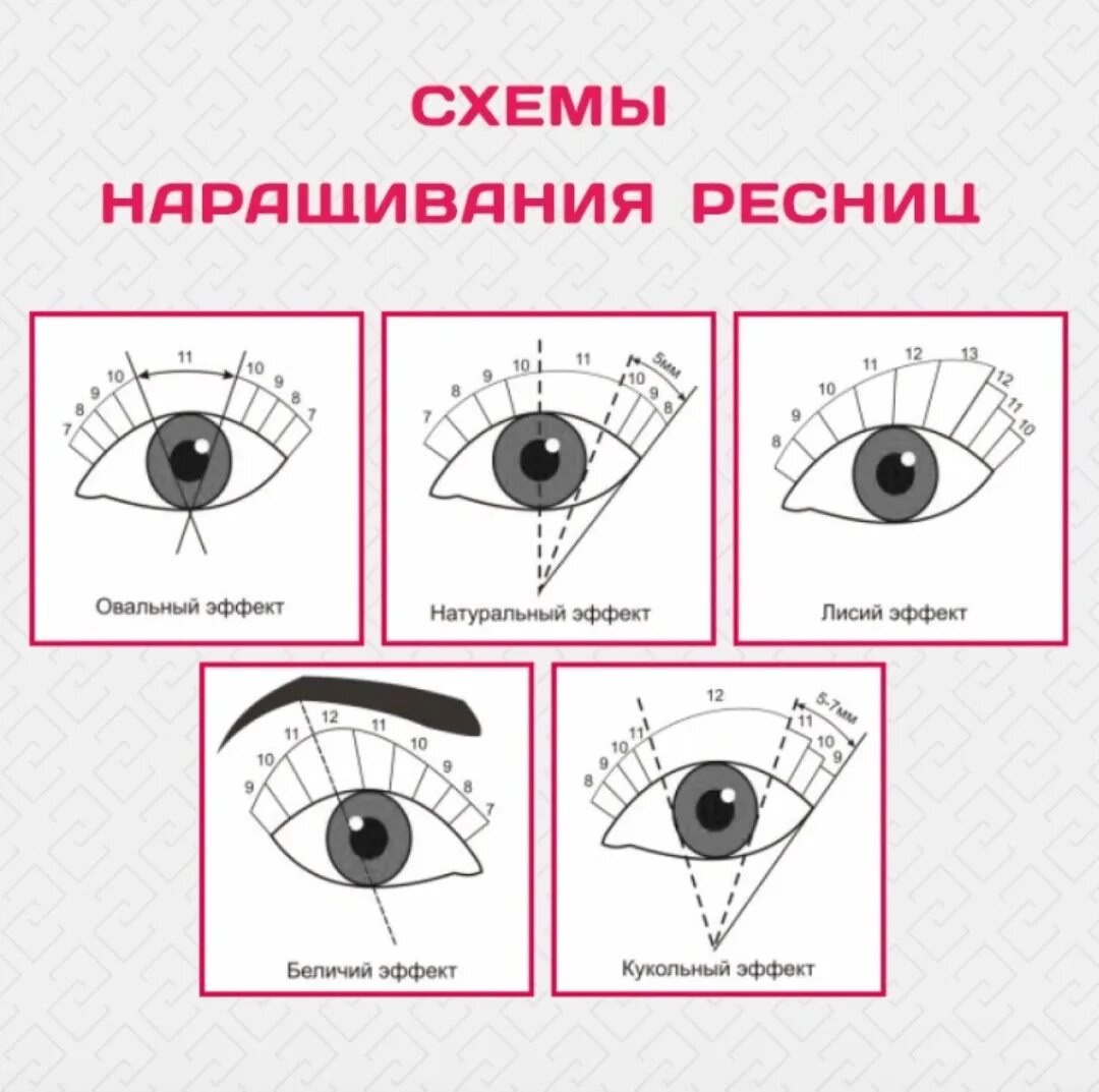 Наращивание ресниц схемы. Кукольный эффект наращивания ресниц 2 d схема. Схема кукольного эффекта наращивания ресниц. Натуральный эффект наращивания ресниц схема 2д. Беличий эффект наращивание ресниц классика схема.