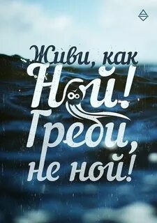 Не ной рот открывай