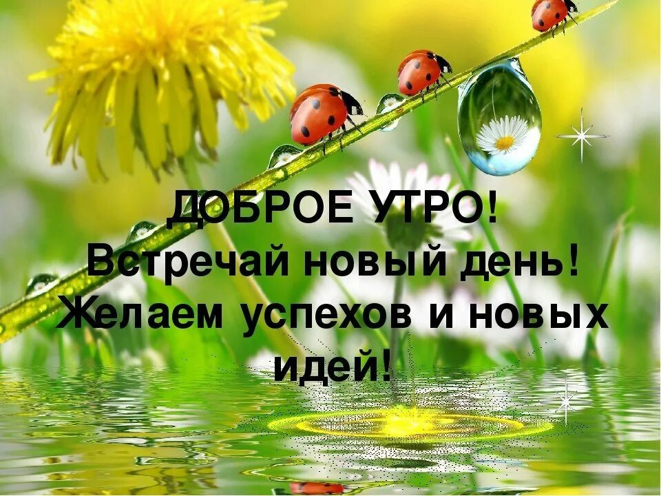 Все здравствуйте все живите. Доброе утро встречай новый день. Доброе утро с пожеланиями здоровья. Новых радостей в новом дне. Здравствуй, новый день!.