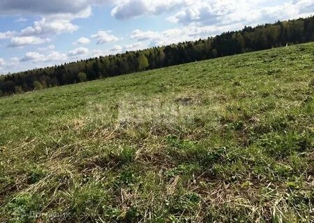 Продам русскую землю