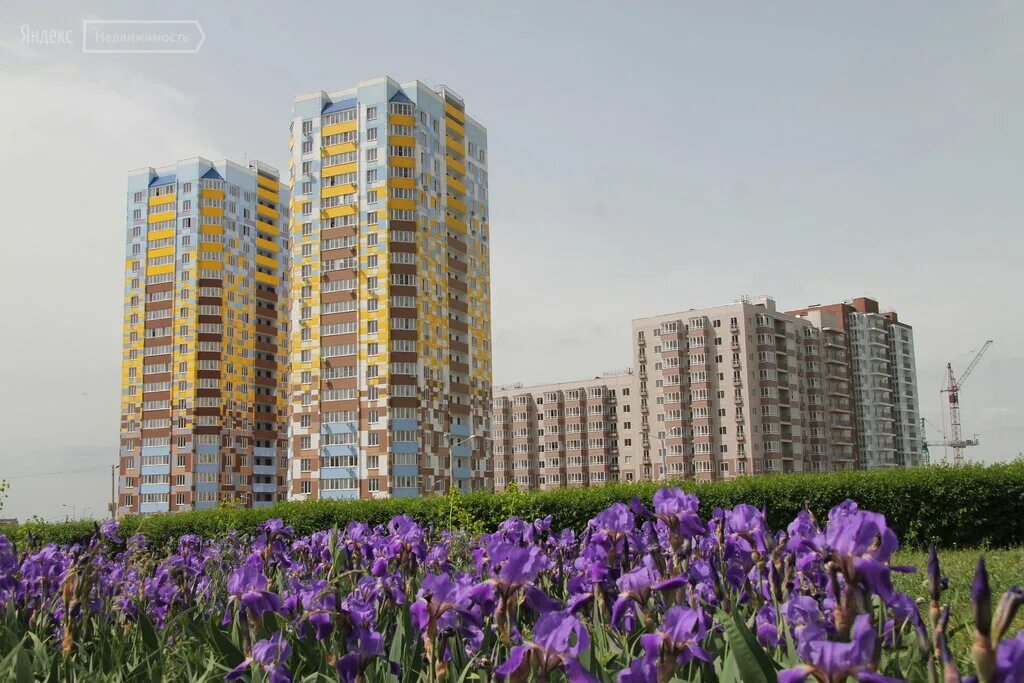 5 элемент ростов на дону. Жк 5 элемент ростов. 5 элемент ростов на дону левенцовка. Жк 5 элемент симферополь. Жк пятый элемент ростов-на-дону.