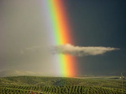 Arc en ciel