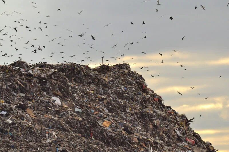 полигон челны. полигон тбо тагаево. полигон тбо куйбышев. мусорный полигон в новосибирске. полигон 16 набережные челны.