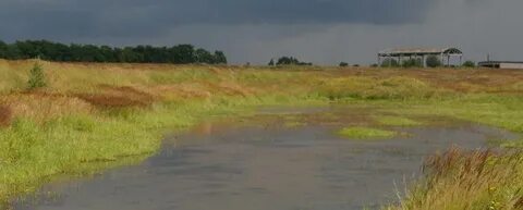Петрушиха алтайский край