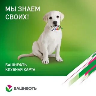 Регистрация клубной