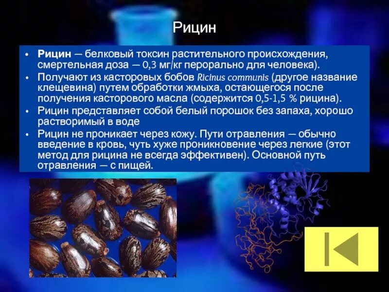 Токсин 8 глава на русском. Рицин семена клещевины. Токсальбумин рицин. Клещевина рицин яд. Рицин порошок.