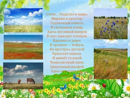 Стих песня степи
