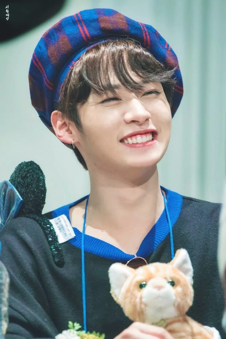 Коты минхо из стрей. Минхо улыбка stray kids. минхо stray kids улыбается. минхо stray kids милый. lee know stray kids улыбка.
