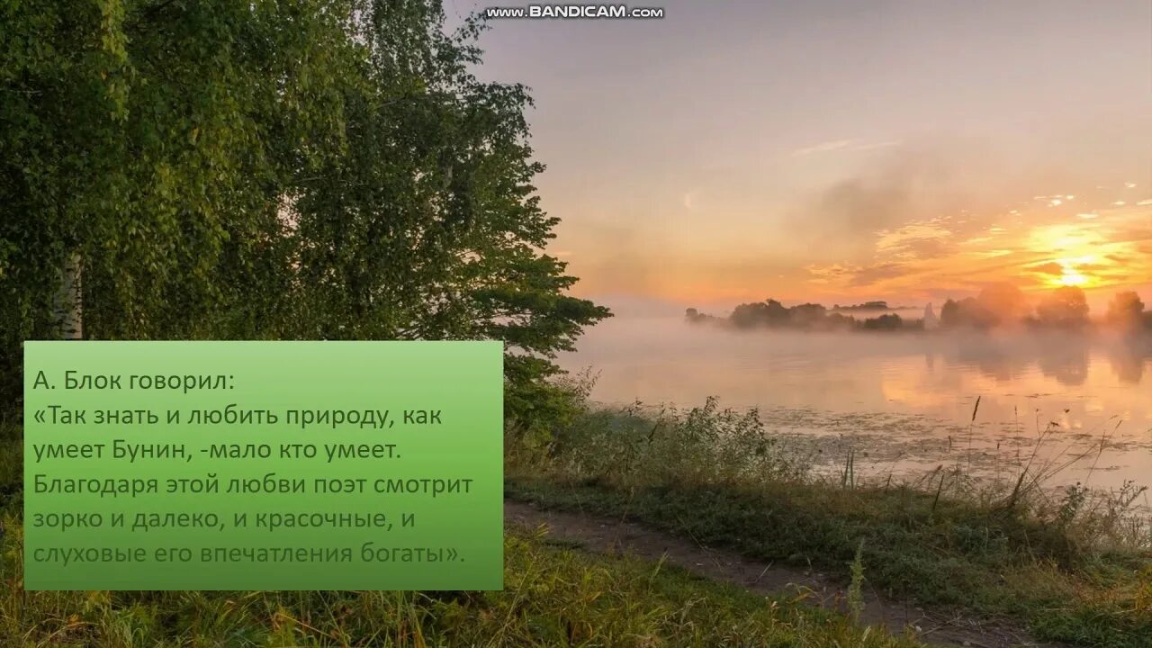 Бунин гроза. Не пугай меня грозою Бунин. Стих нет солнца но светлы пруды. Бунин не пугай меня.