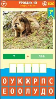 Уровни животных