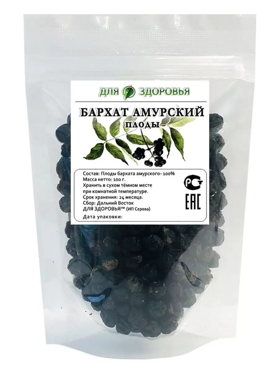 Бархат полезные свойства. Дерево амурский бархат фото и описание. Бархат амурский медонос. Семена бархата амурского. Бархат амурский – phellodendron amurense rupr.