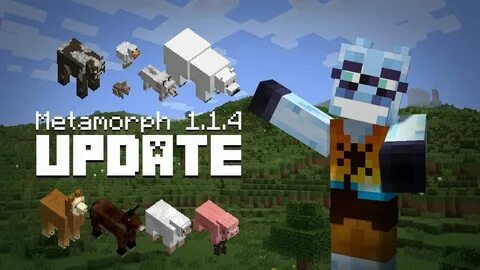 Metamorph 1.16