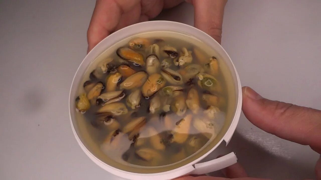 Как есть мидии в рассоле. Мясо мидий в рассоле. мидии в рассоле. мидии пресервы. меридиан мидии в рассоле.
