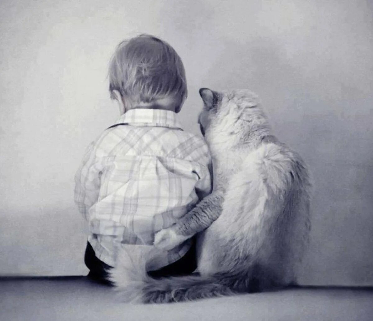 Трогательный мир. Мальчик обнимает кота. Обнимашки людей. Поддержка в трудную минуту. Объятия животных.