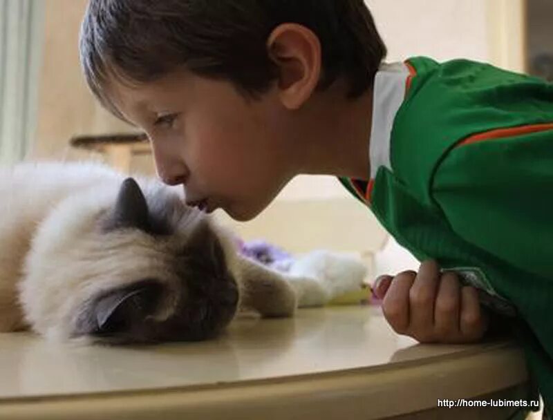 Тревожность у детей. Тревожность у детей. Help boy. Фелинотерапия дцп. Help boy.