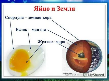Земля яйцо