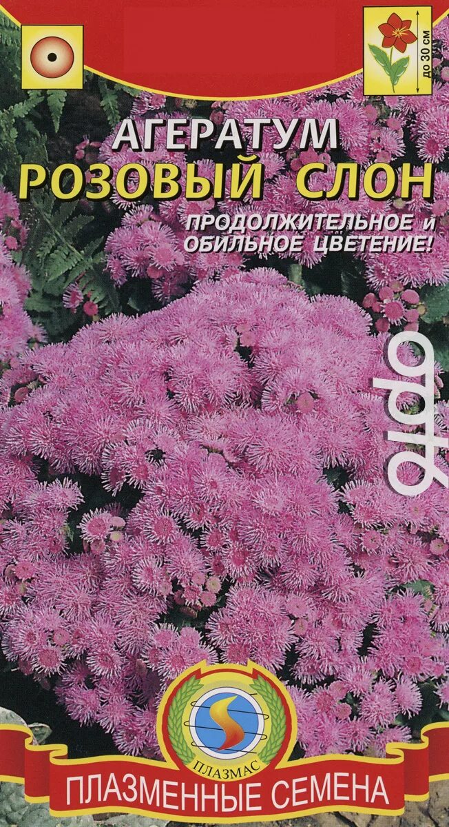 Цветы агератум розовый слон. Семена агератум розовый слон. Цветок агератум семена. Агератум розовый. Агератум семена купить