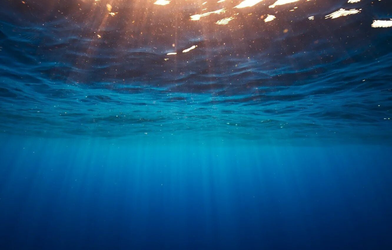 Толща воды океана. Океаны. Глубина. Океан под водой. Дно океана. Море глубина.