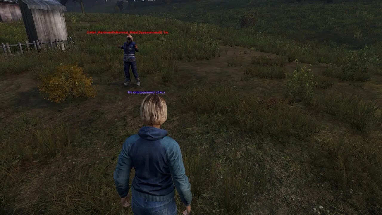 Dayz admin tools. Dayz standalone esp. dayz инструменты. софт dayz. кодлок dayz.