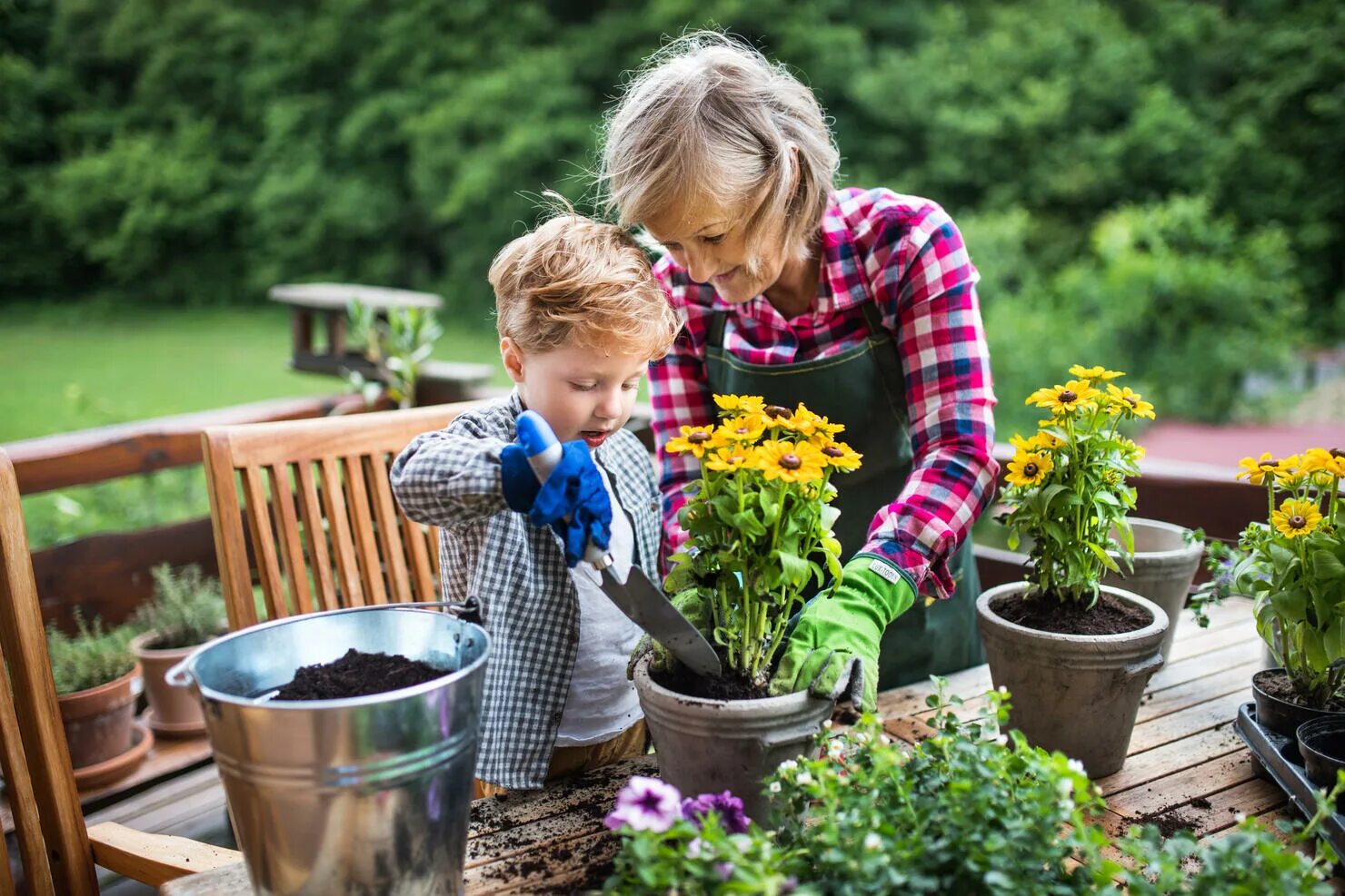 Family plants