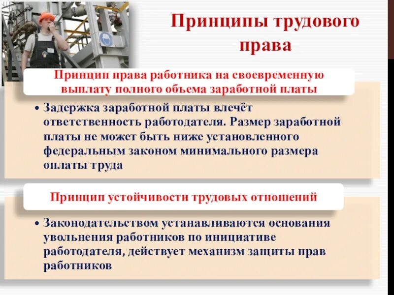 Трудовое право основные принципы. Принципы турлового правда.