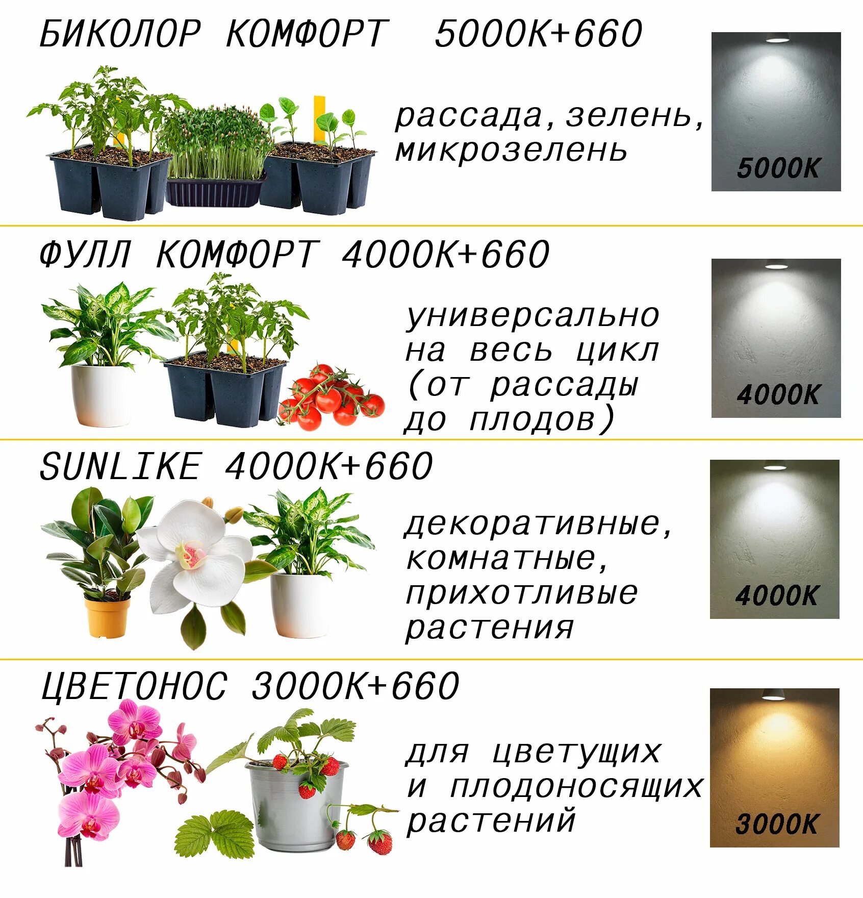 Как выбрать фитолампу для растений. Как выбрать фитолампу для растений