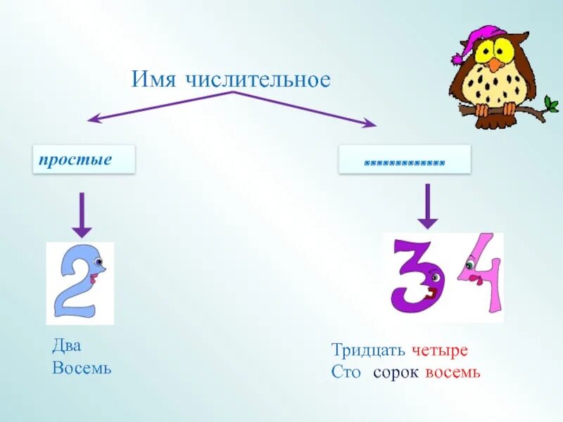 Имя числительное. Имена числительные. Имя числительное картинки. Числительное 6.