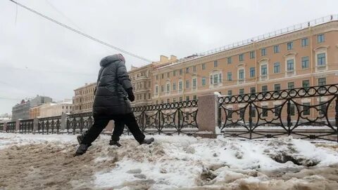 Чистый петербург